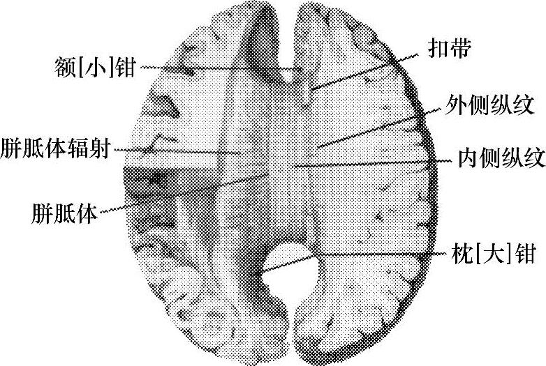 978-7-111-57267-1-Chapter02-12.jpg