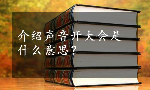 介绍声音开大会是什么意思？