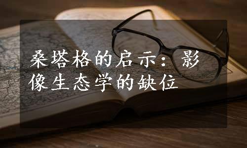 桑塔格的启示：影像生态学的缺位