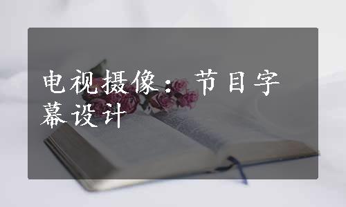 电视摄像：节目字幕设计