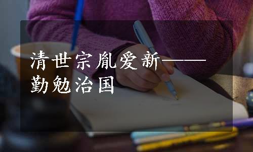 清世宗胤爱新——勤勉治国