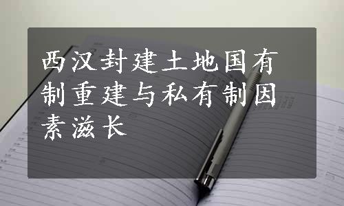 西汉封建土地国有制重建与私有制因素滋长