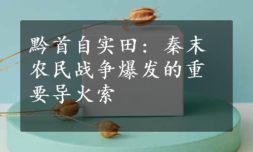 黔首自实田: 秦末农民战争爆发的重要导火索