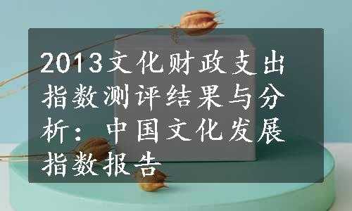 2013文化财政支出指数测评结果与分析：中国文化发展指数报告