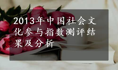 2013年中国社会文化参与指数测评结果及分析