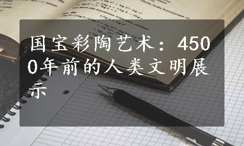 国宝彩陶艺术：4500年前的人类文明展示