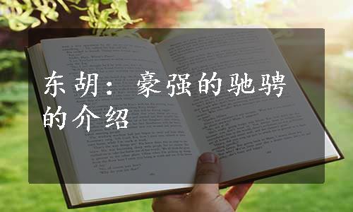 东胡：豪强的驰骋的介绍