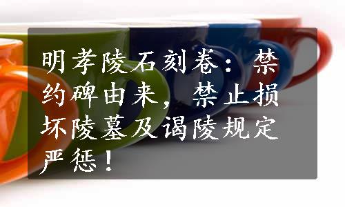 明孝陵石刻卷：禁约碑由来，禁止损坏陵墓及谒陵规定严惩！