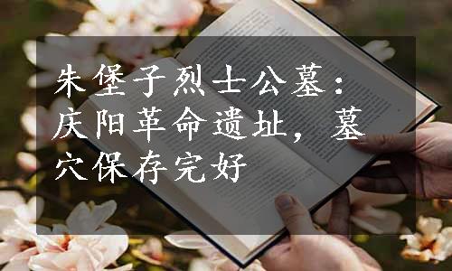 朱堡子烈士公墓：庆阳革命遗址，墓穴保存完好