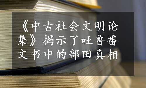 《中古社会文明论集》揭示了吐鲁番文书中的部田真相