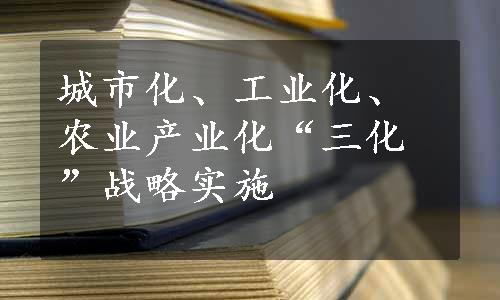 城市化、工业化、农业产业化“三化”战略实施