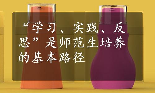 “学习、实践、反思”是师范生培养的基本路径