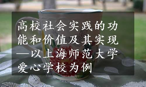 高校社会实践的功能和价值及其实现—以上海师范大学爱心学校为例