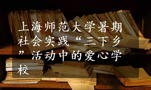 上海师范大学暑期社会实践“三下乡”活动中的爱心学校