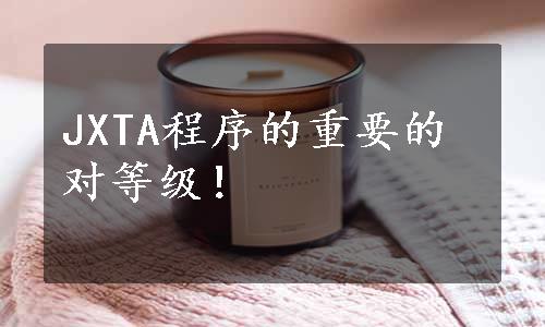 JXTA程序的重要的对等级！