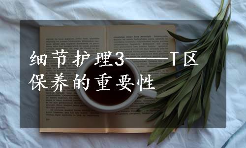 细节护理3——T区保养的重要性