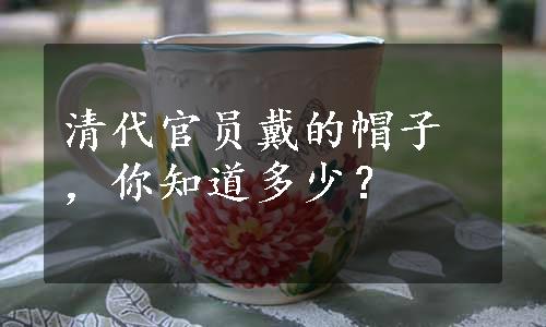 清代官员戴的帽子，你知道多少？