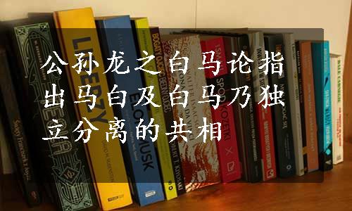 公孙龙之白马论指出马白及白马乃独立分离的共相