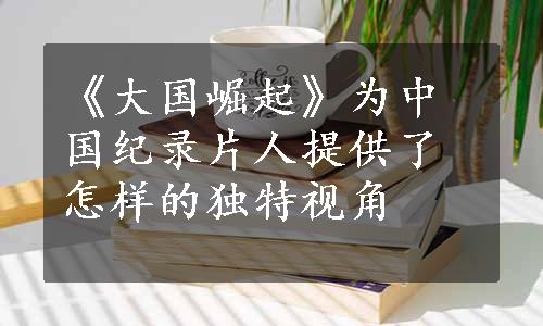 《大国崛起》为中国纪录片人提供了怎样的独特视角