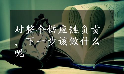 对整个供应链负责，下一步该做什么呢