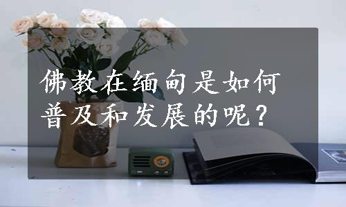 佛教在缅甸是如何普及和发展的呢？