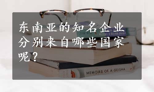 东南亚的知名企业分别来自哪些国家呢？