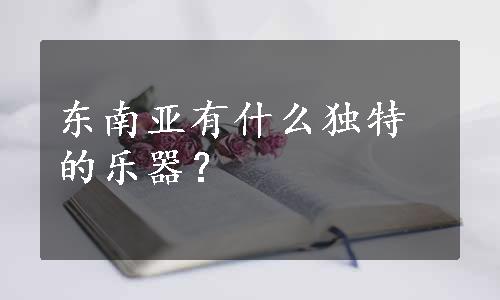 东南亚有什么独特的乐器？