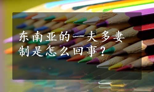 东南亚的一夫多妻制是怎么回事？