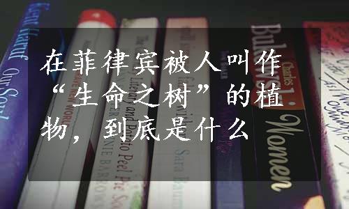 在菲律宾被人叫作“生命之树”的植物，到底是什么