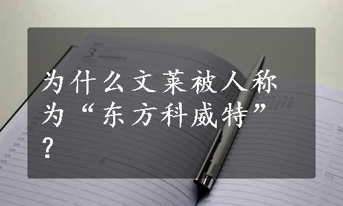 为什么文莱被人称为“东方科威特”？