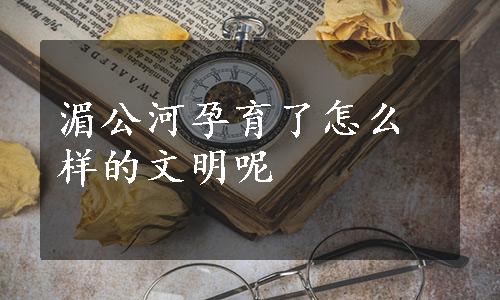 湄公河孕育了怎么样的文明呢