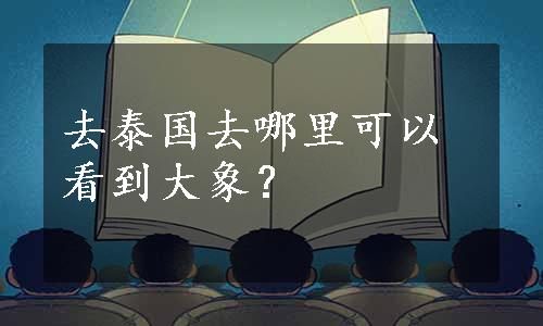 去泰国去哪里可以看到大象？