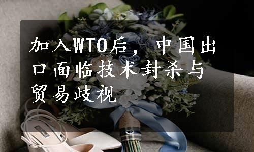 加入WTO后，中国出口面临技术封杀与贸易歧视