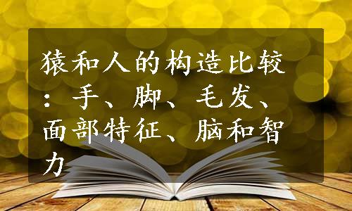 猿和人的构造比较：手、脚、毛发、面部特征、脑和智力