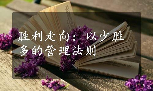 胜利走向：以少胜多的管理法则