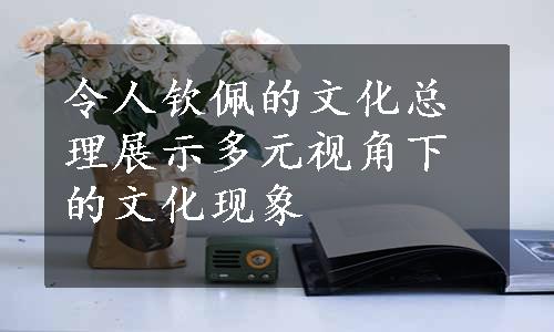 令人钦佩的文化总理展示多元视角下的文化现象