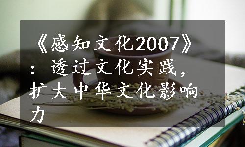 《感知文化2007》：透过文化实践，扩大中华文化影响力