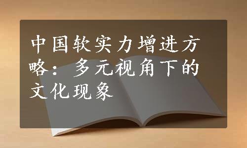 中国软实力增进方略：多元视角下的文化现象