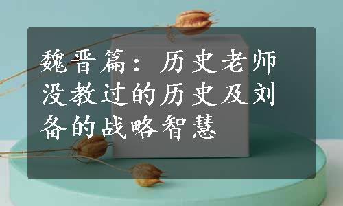 魏晋篇：历史老师没教过的历史及刘备的战略智慧