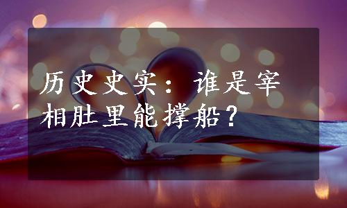 历史史实：谁是宰相肚里能撑船？