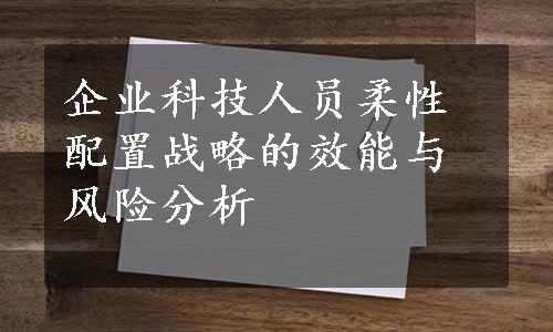 企业科技人员柔性配置战略的效能与风险分析