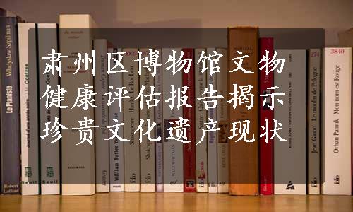 肃州区博物馆文物健康评估报告揭示珍贵文化遗产现状