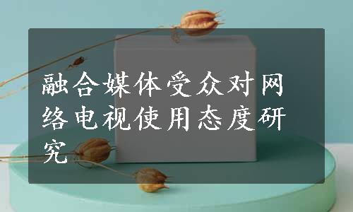 融合媒体受众对网络电视使用态度研究