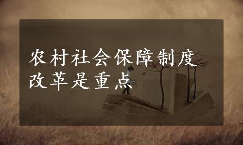 农村社会保障制度改革是重点