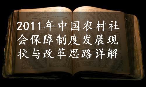 2011年中国农村社会保障制度发展现状与改革思路详解