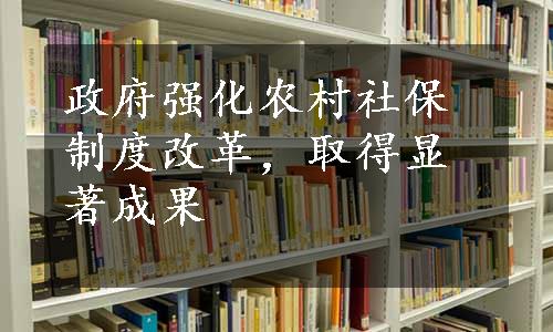 政府强化农村社保制度改革，取得显著成果