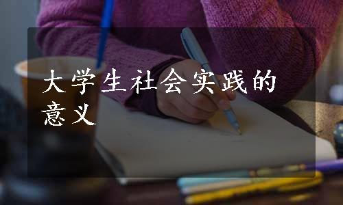 大学生社会实践的意义