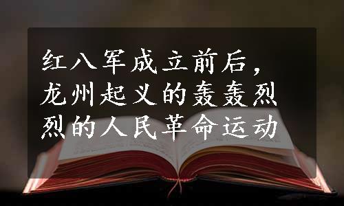 红八军成立前后，龙州起义的轰轰烈烈的人民革命运动