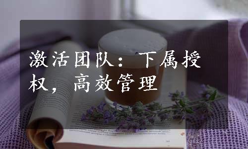 激活团队：下属授权，高效管理