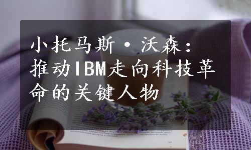 小托马斯·沃森：推动IBM走向科技革命的关键人物